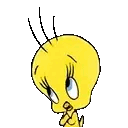 Gif Titi tendre